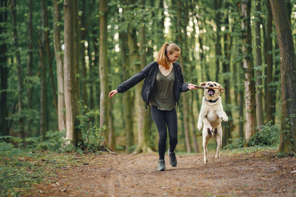 Spacer z psem – co zabrać ze sobą by nie było nudno